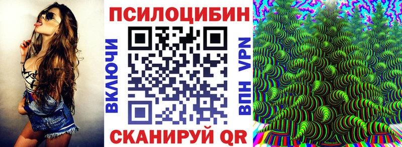 Купить где  Пролетарск  Псилоцибиновые грибы Psilocybe 